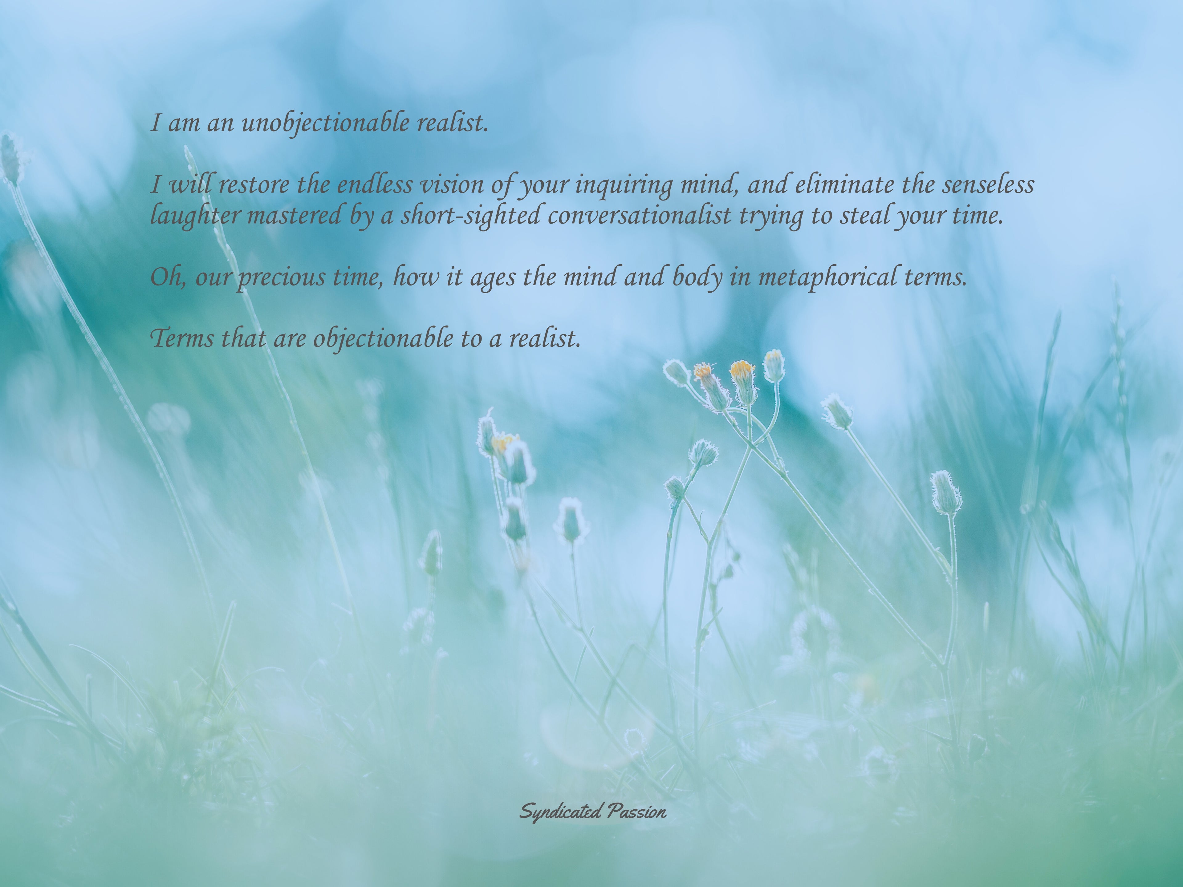 Objectionable Realist